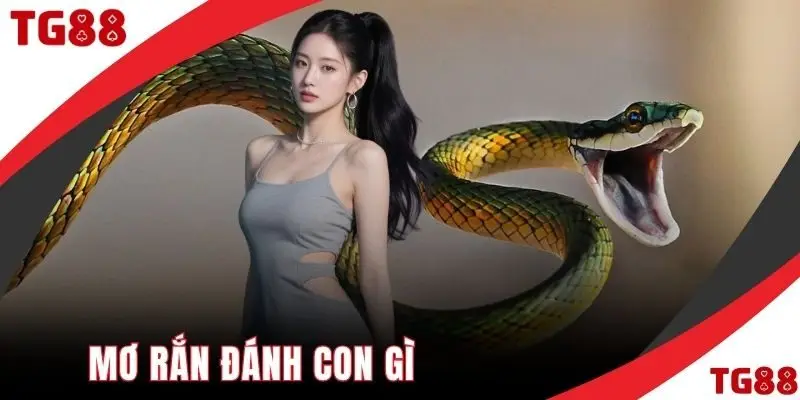 Mơ rắn đánh con gì