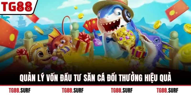 Quản lý vốn đầu tư săn cá đổi thưởng hiệu quả